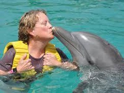 True Or False. Dolphins Have Large Brains For That Size Of There Bodies.