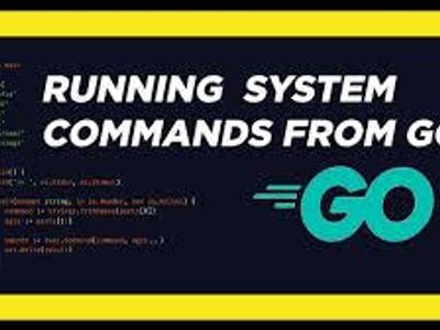 What is the purpose of the `go run` command?