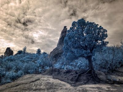 What is the bluish veil used in photography to tone down highlights?