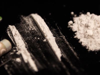 What is the active ingredient in cocaine?