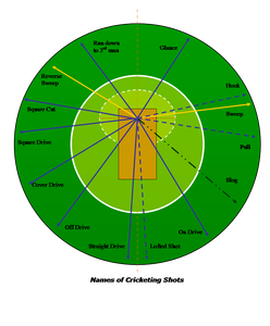 Which fielder position is closest to the batsman on the off side in cricket?