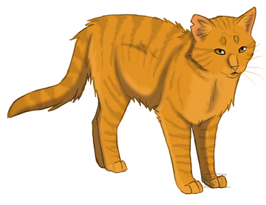 Which cat did lionblaze fall in love with?