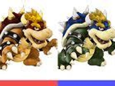 does Bowser have a twin