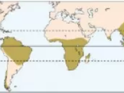 Na figura abaixo, está representada a atual distribuição geográfica de uma determinada família de plantas que têm a mesma origem evolutiva e estão presentes em todo o planeta há milhões de anos. Em estudos filogenéticos recentes, percebeu-se que as espécies sul-americanas diferem-se das africanas. O isolamento geográfico gera novas espécies, esse fenômeno recebe o nome de: