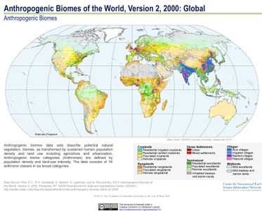 What is the main cause of deforestation leading to climate change?