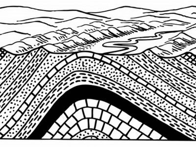 What term describes the bending or folding of rock layers due to tectonic forces?