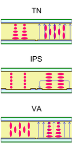 What is the difference between a 'TN' panel and an 'IPS' panel?