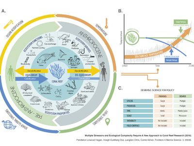 Which element is essential for the process of photosynthesis?