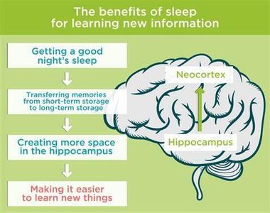 Is your sleeping environment conducive to good sleep (e.g., dark, quiet, comfortable)?