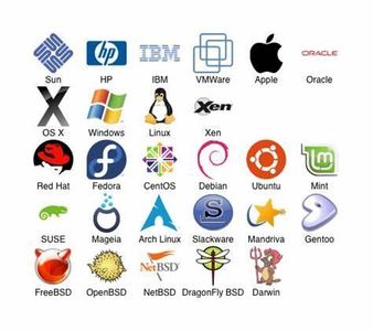 Which operating system is open source and widely used in servers?