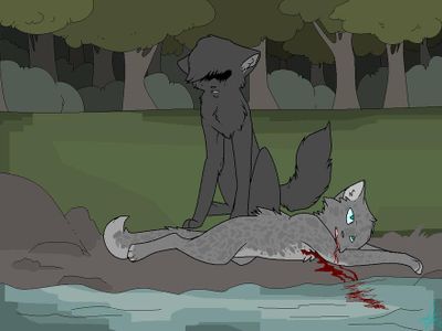 Who killed Ashfur?