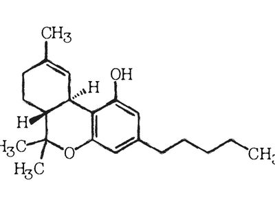 What is the active chemical in marijuana?