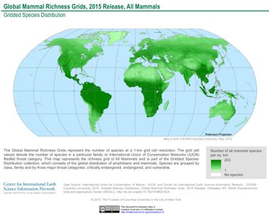 What is the study of the geographic distribution of species called?