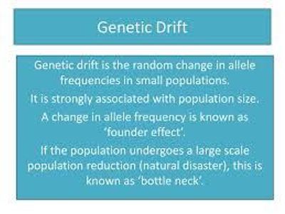 What is the term for the random change in allele frequencies in small populations?