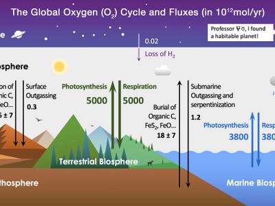 What percentage of Earth’s atmosphere is made up of oxygen?