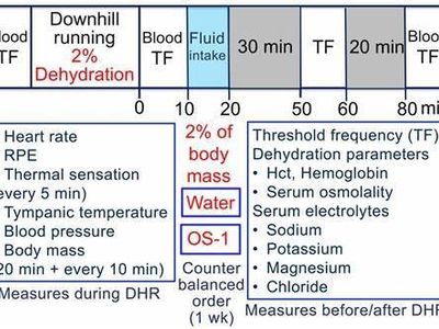 What is the recommended fluid intake during exercise?