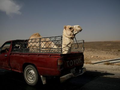 Which pickup truck is named after a famous desert?