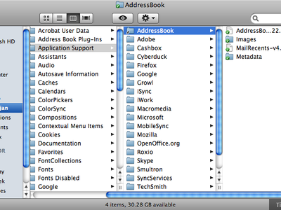 Which file system is used by macOS?