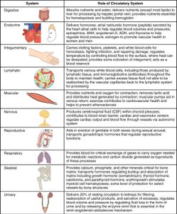 What is the main function of the cardiovascular system?