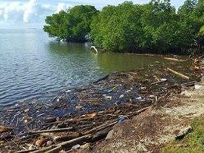 Does the garbage that is picked up on our beaches come from ship or shore?  Clean-ups of our beaches by resorts, organisations and individuals analyse the rubbish. Is the plastic found coming from: