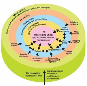 Which area of development does early childhood education primarily focus on?