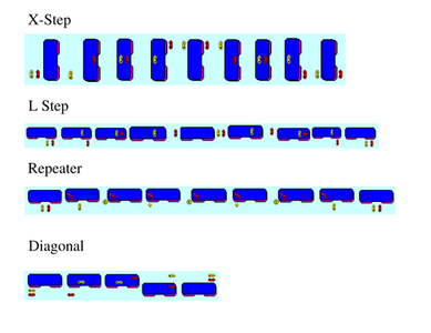 Which of the following is a basic step in step aerobics?