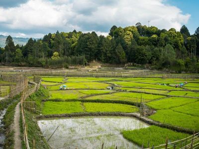 What are cultural landscapes?