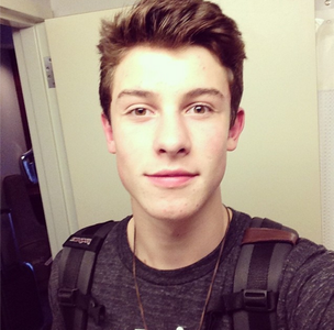 What Animal is Shawn Mendes allergic to?