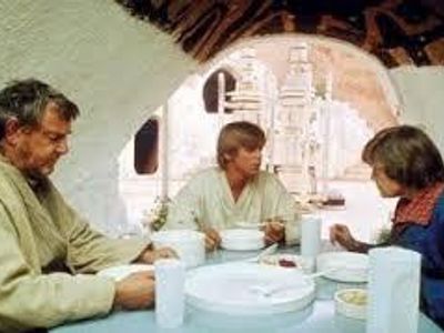 Who are Luke's aunt an uncle who serve as guardians to him while he grows up?