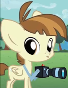 This pony?