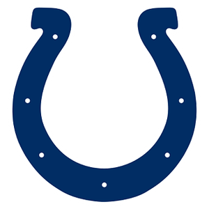 Which NFL team's logo is shown below?