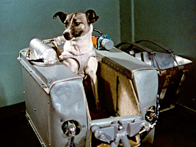 Who was the first dog in space?