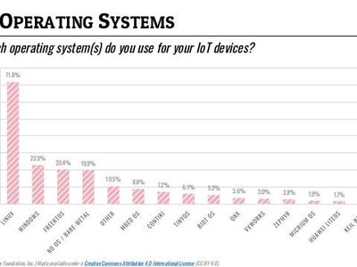 Which operating system is popular among developers for its flexibility?