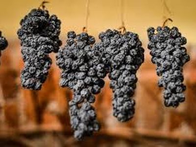 What is the term for wine made from dried grapes?