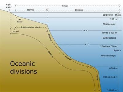 The deep-ocean trench called 'Challenger Deep' is located in which ocean basin?