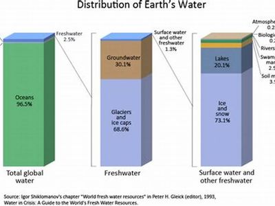 What percentage of the Earth's surface is covered by water?