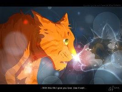 Spottedleaf gave Firestar a life for ___?