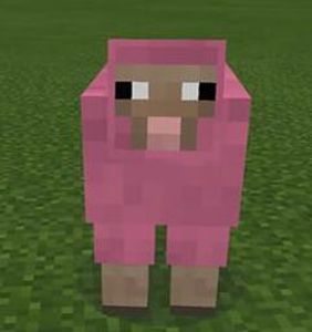 Who did Thatonetomahawk prank with pink sheep? ( Put their channel )