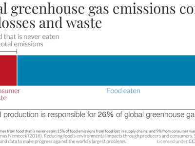 What is the leading cause of food waste?