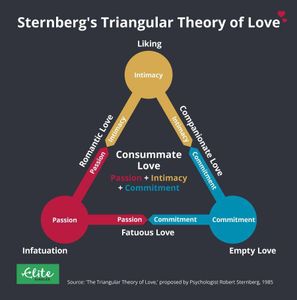 Which type of love is characterized by intense passion but lacks commitment and intimacy?