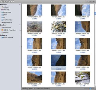 Which of the following is an example of an raw image format?