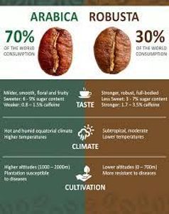 What is the primary difference between 'Arabica' and 'Robusta' beans?