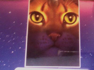 how did brightheart lose her eye and half her ear?