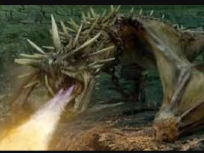 Select the Dragons of The Triwizard Tournament.