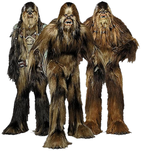 what was the name of the wookiee jedi