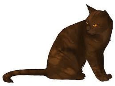 I wanted to be the leader of Windclan but when Tallstar changed his mind I was furious. I gathered a group of cats to attack. I died when lightning struck the tree that became the bridge to the gathering island.