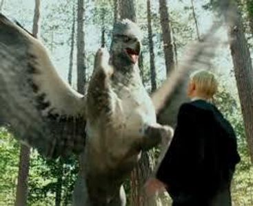 Hagrid warns his care of magical creatures class that it is extremely dangerous to insult a hippogriff,Draco who wasn't listening insults the hipprogriff on which they are studying and gets attacked straight away,what was it that Draco called teh hipprogriif while insulting him?