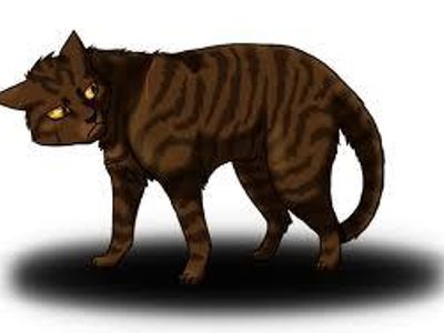 I am a loyal thunderclan cat and take place in two prophecies. My sister left to be a shadow clan cat. I also have to prove my loyalties again and again. But I became the leader of thunderclan after the great battle. My mate, Squirrelflight became my deputy.