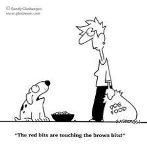 You receive a complaint from an owner who signed her dog in three weeks ago, she complains about you giving her dog the wrong food, but when you remember asking questions, she said that there was no particular food that her dog ate, How do you reply?