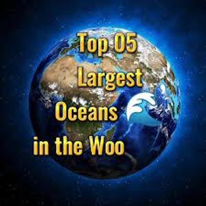 Which is the largest ocean on Earth?